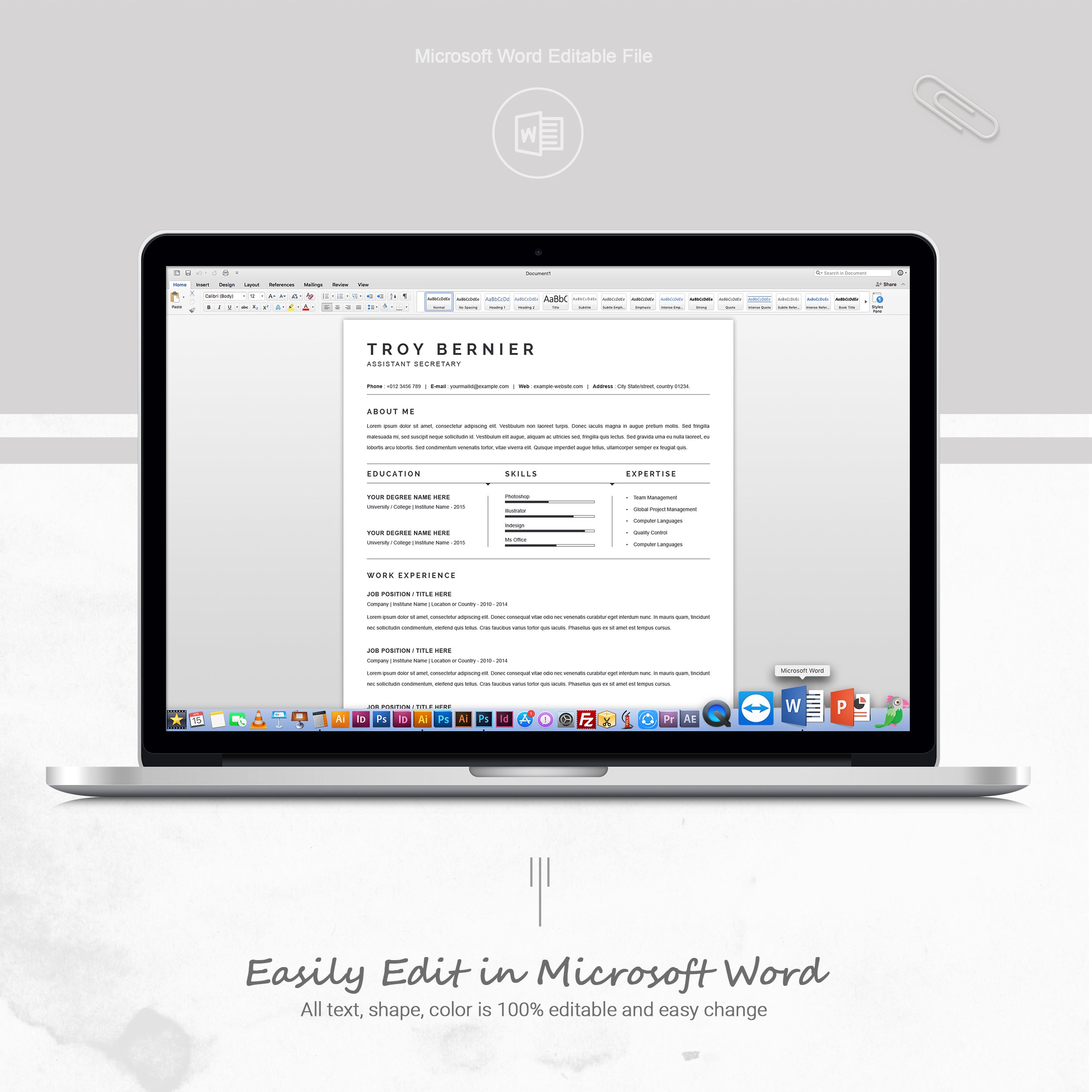 04 free resume template ms word file formats template 766