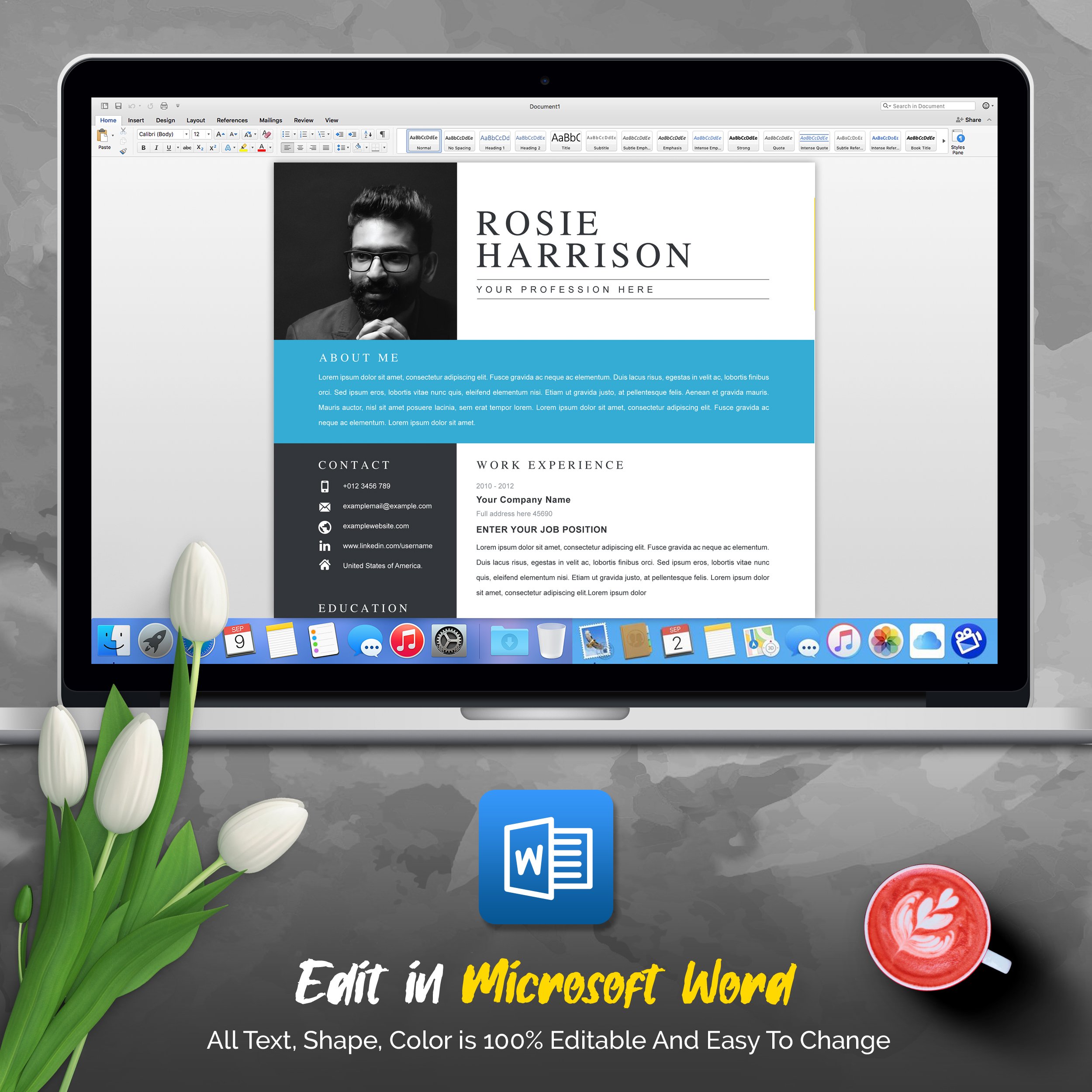 04 resume microsoft word pages professional ms word aple pages eps photoshop psd resume cv design template design by resume inventor 565