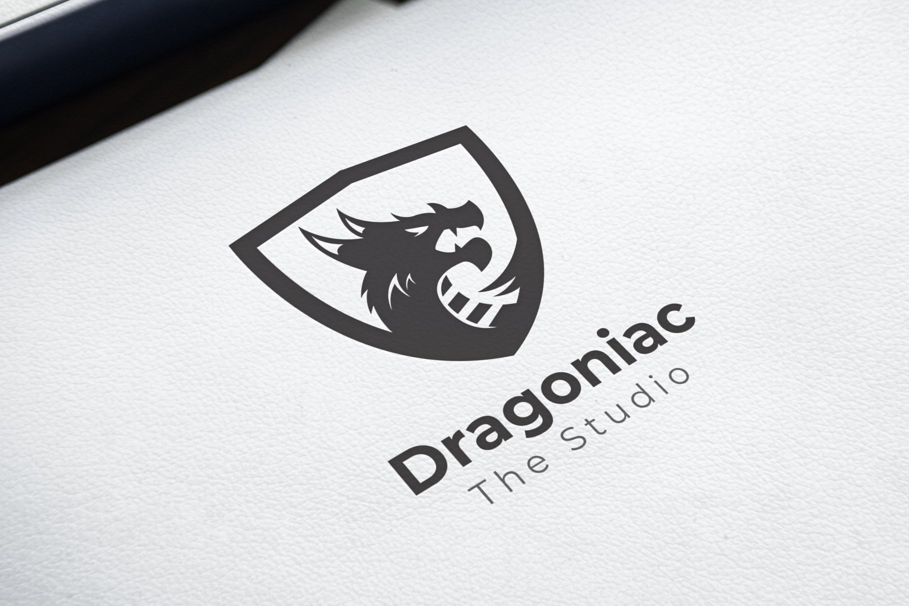 DragonShield Logo preview image.