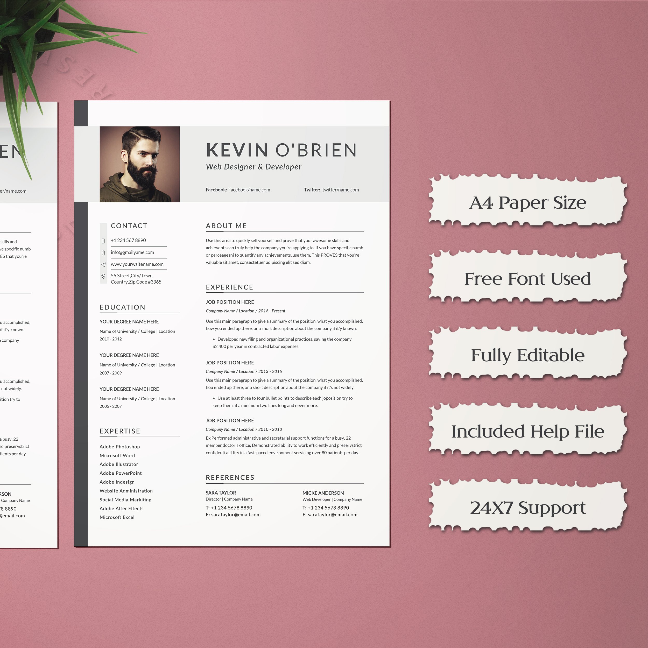 Professional resume is displayed on a pink background.