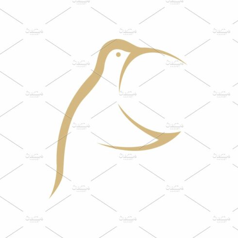modern shape hummingbird logo cover image.