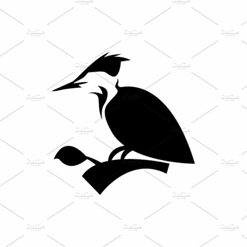 bird woodpecker with branch logo cover image.