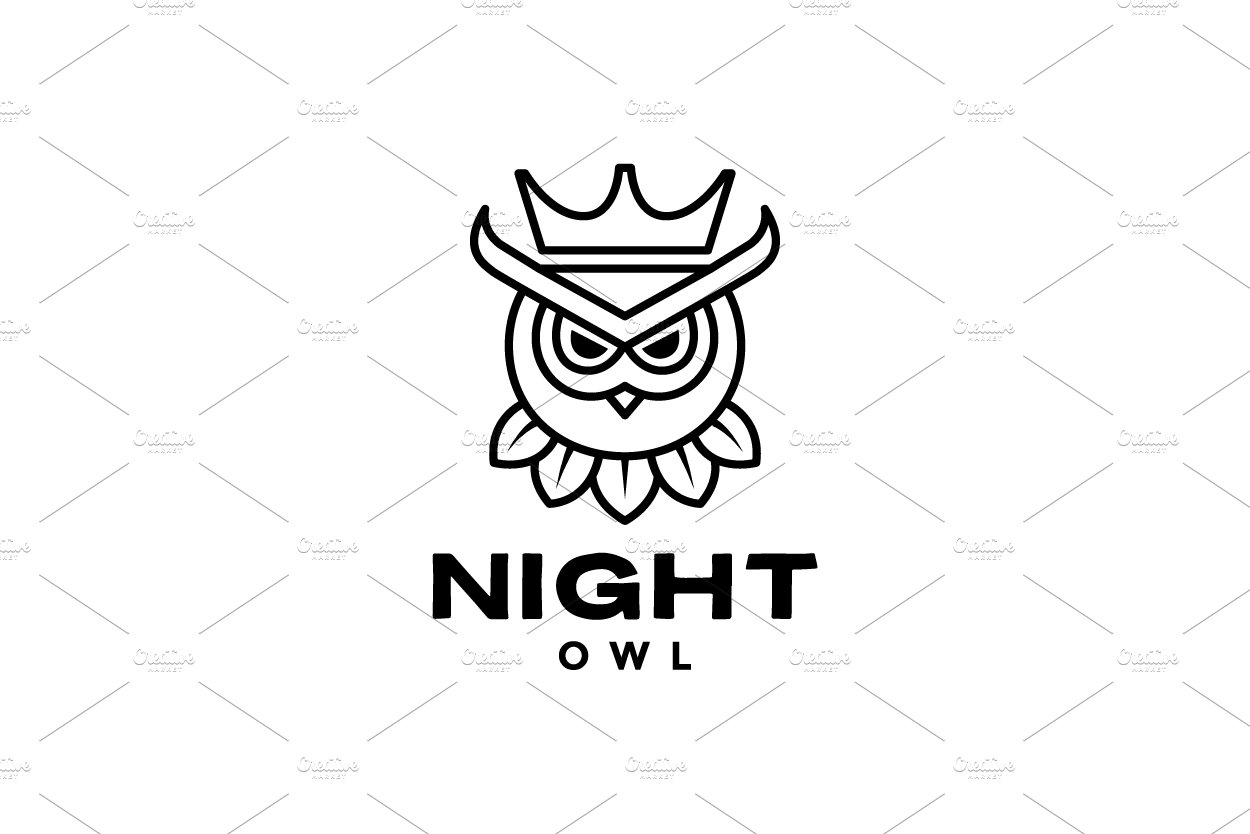 owl with crown logo design cover image.