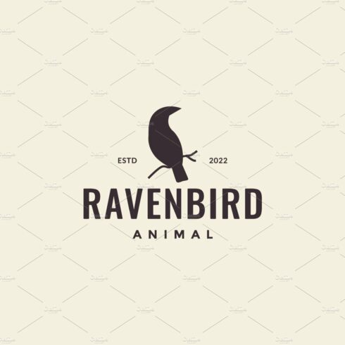 raven bird with twig tree logo cover image.