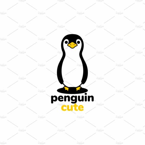 little penguin colored cute logo cover image.