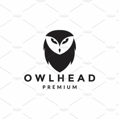 logo head face Barn-owl logo symbol cover image.