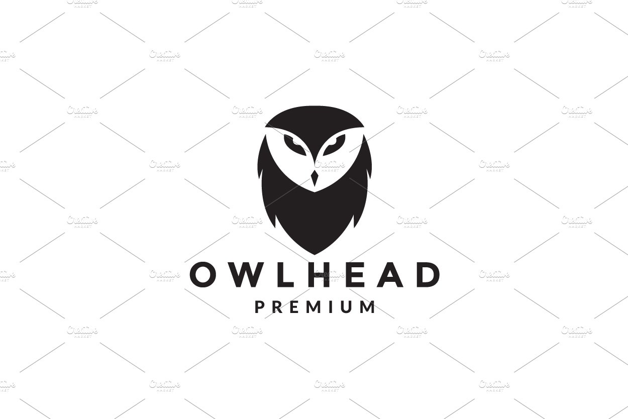 logo head face Barn-owl logo symbol cover image.