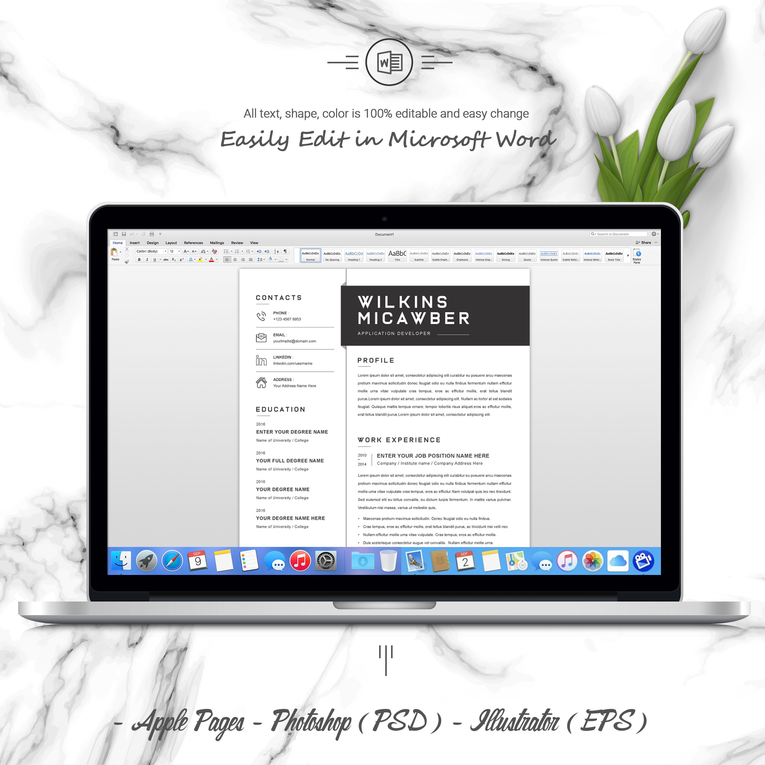 05 3 pages free resume ms word file format design template 197