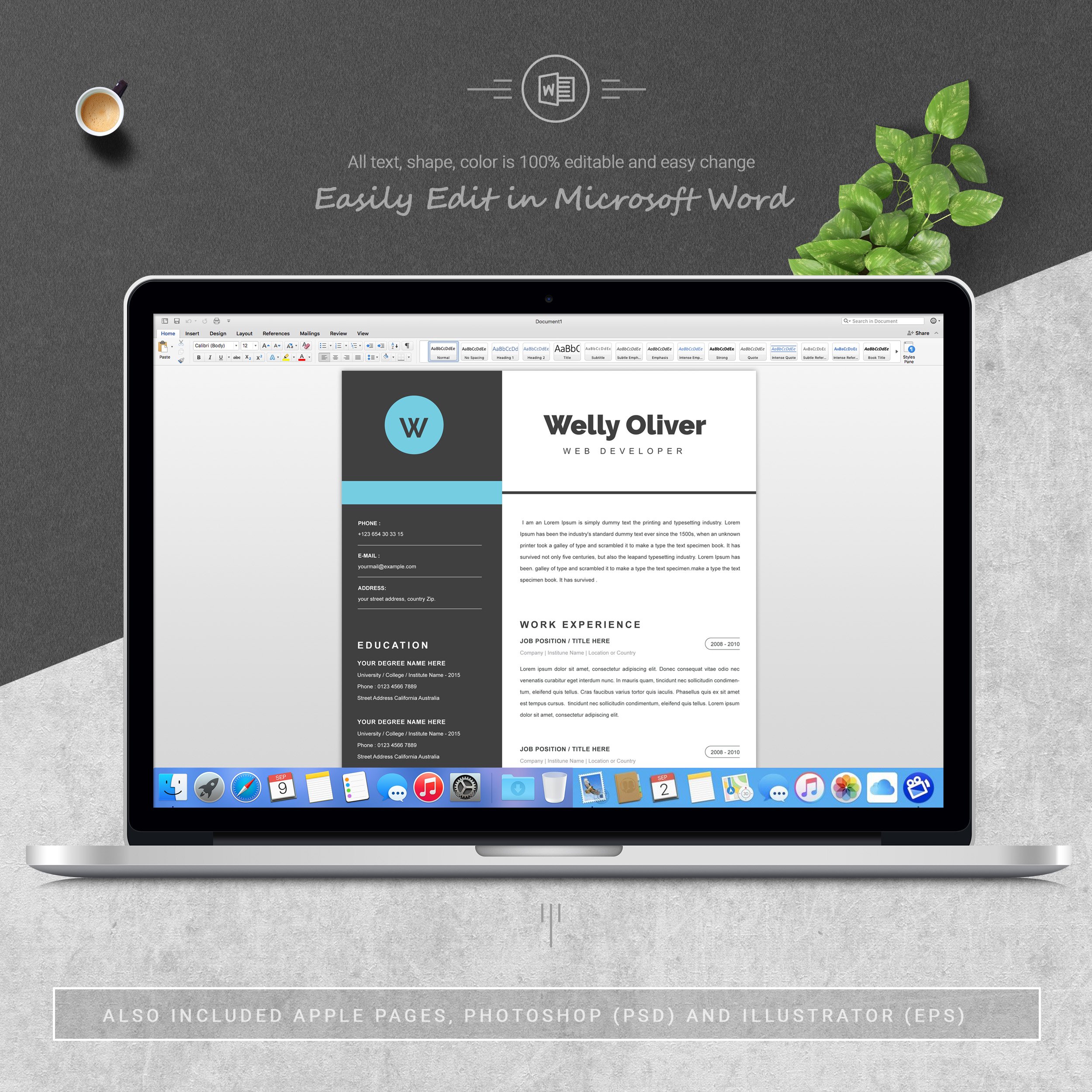 05 3 pages free resume ms word file format design template 267
