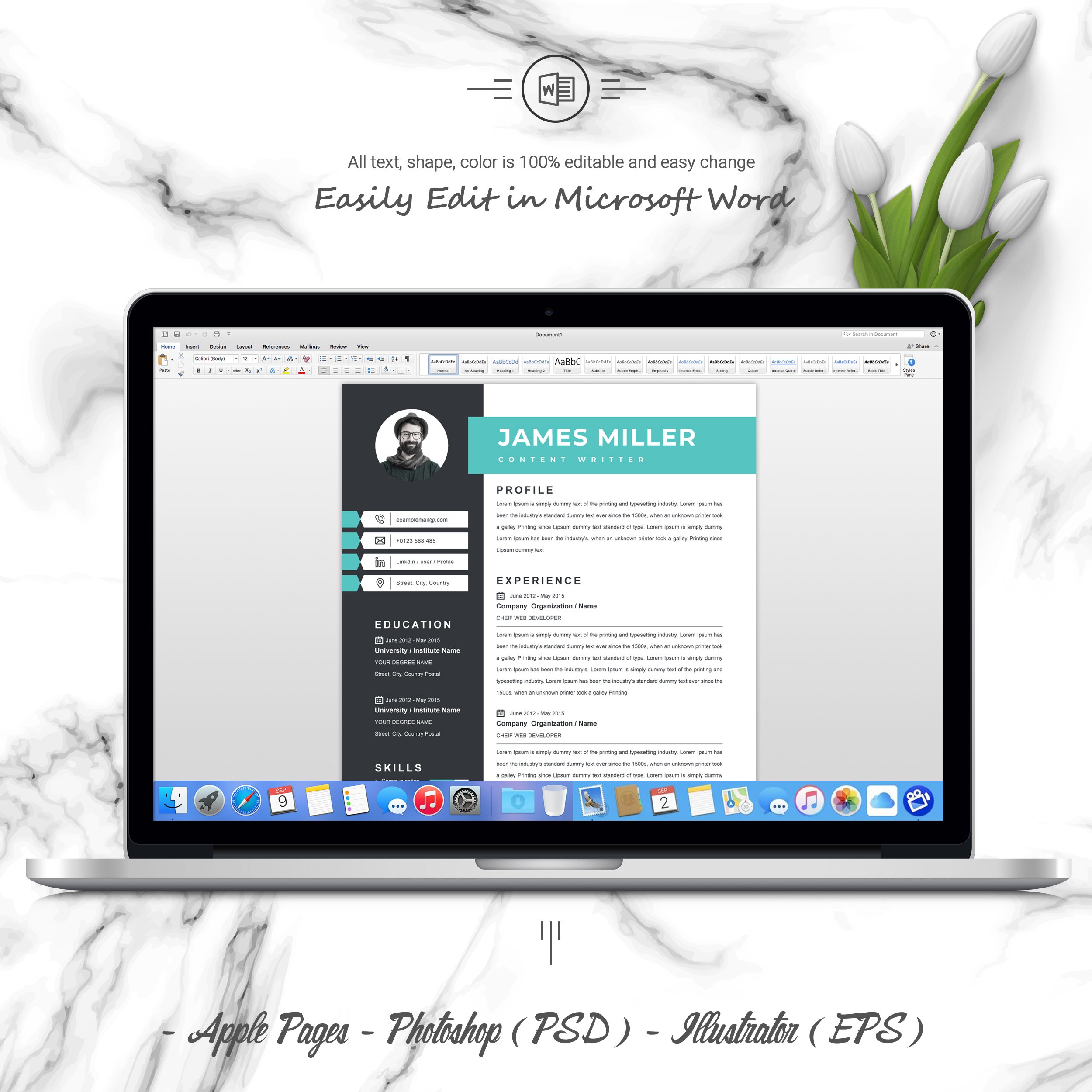 05 3 pages free resume ms word file format design template 347