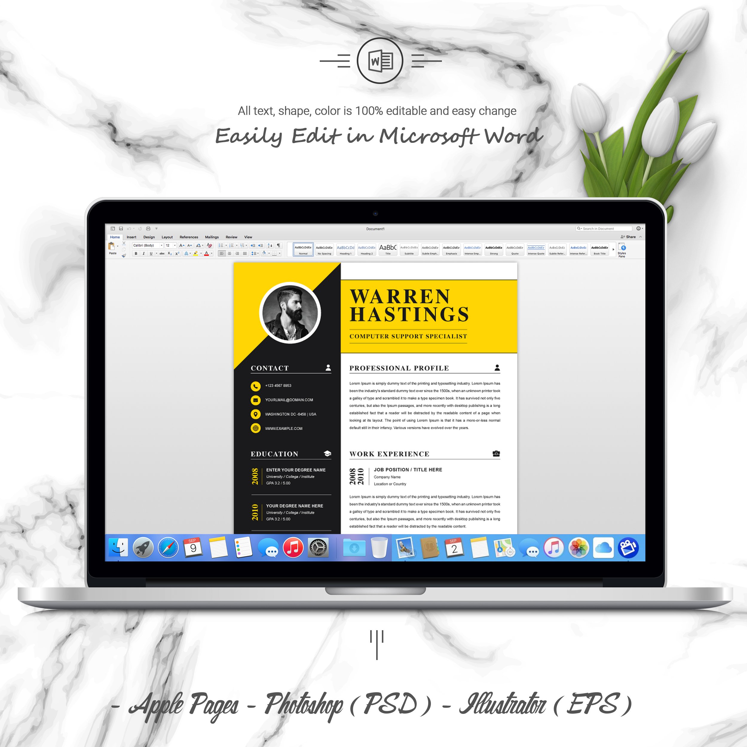 05 3 pages free resume ms word file format design template 495
