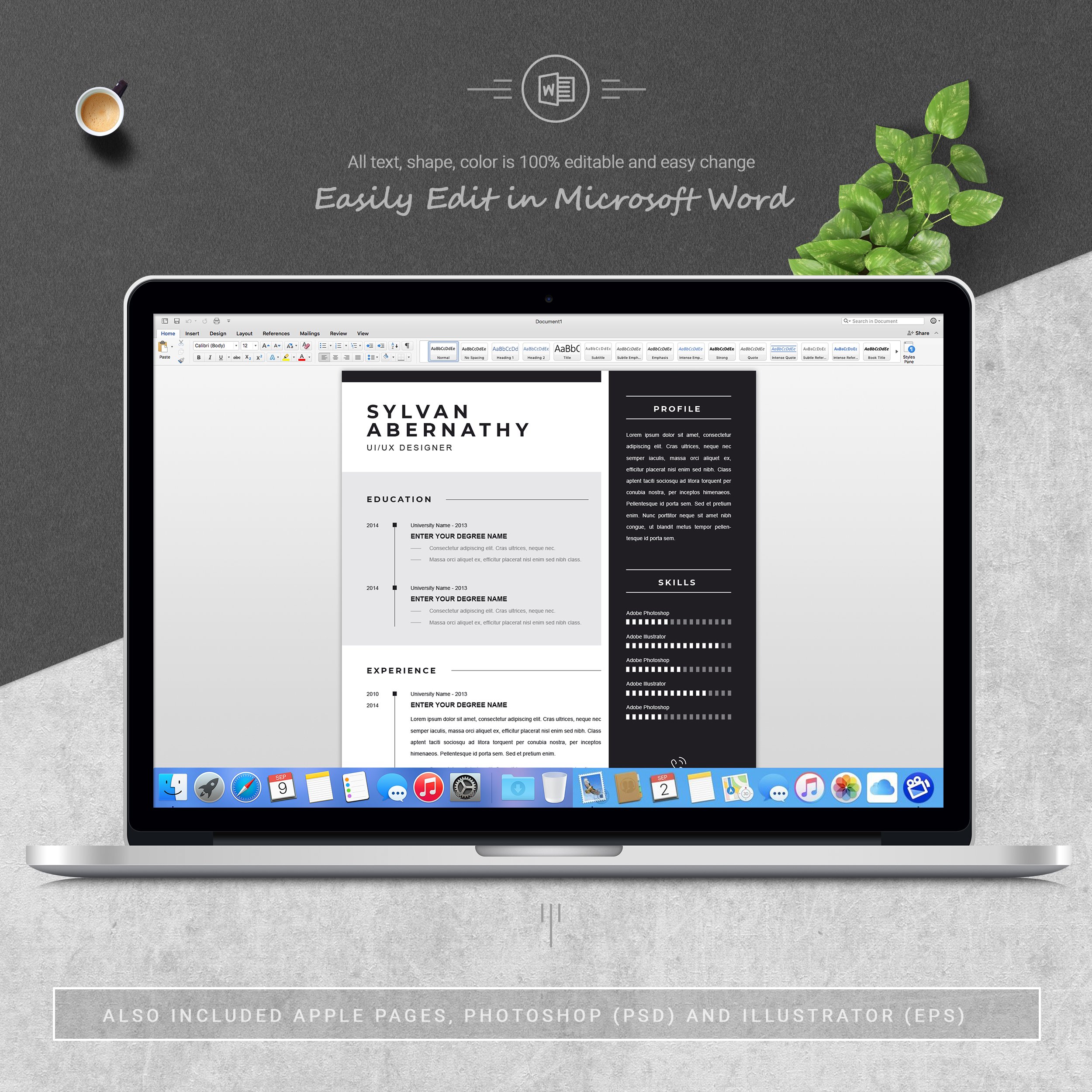 05 3 pages free resume ms word file format design template 571