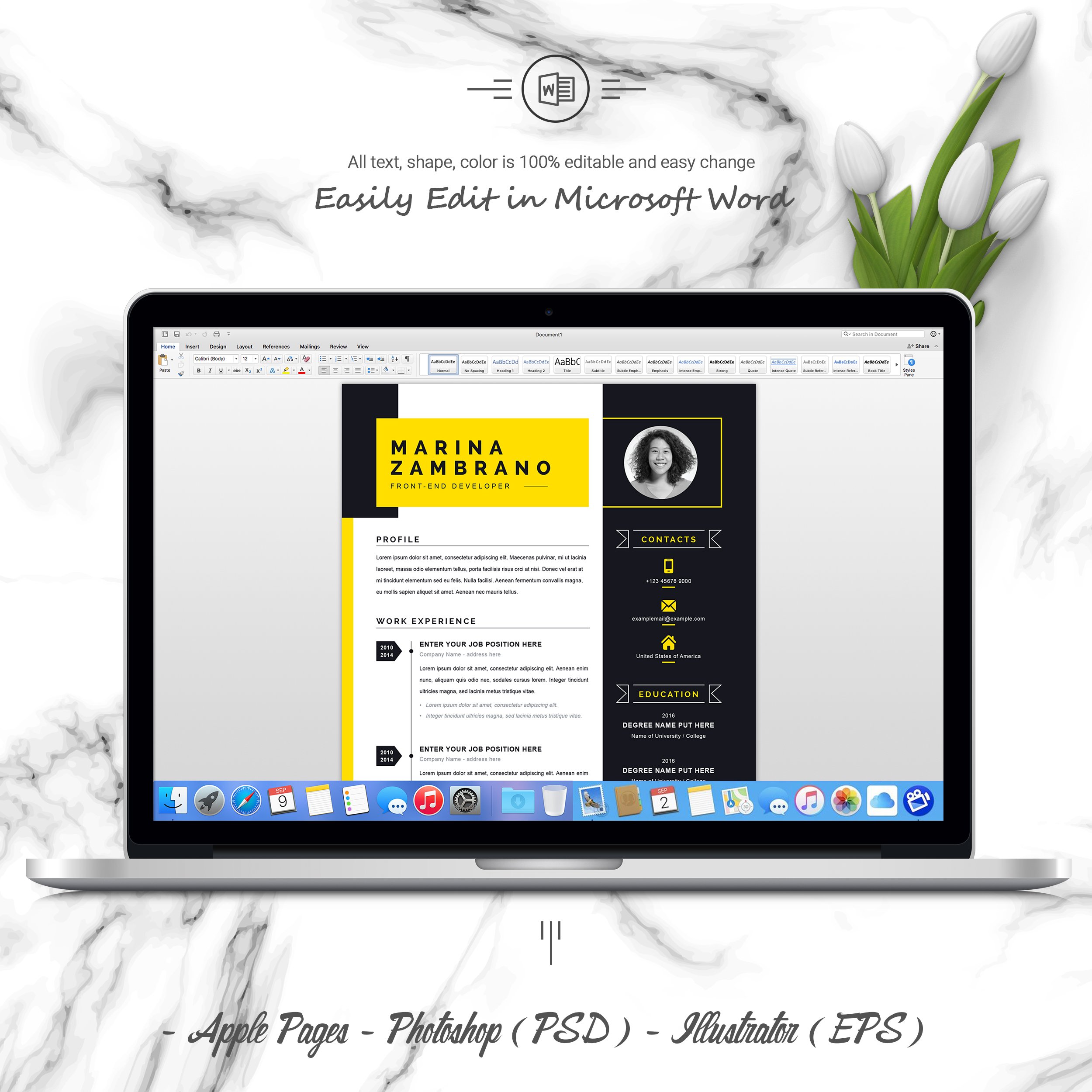 05 3 pages free resume ms word file format design template 613