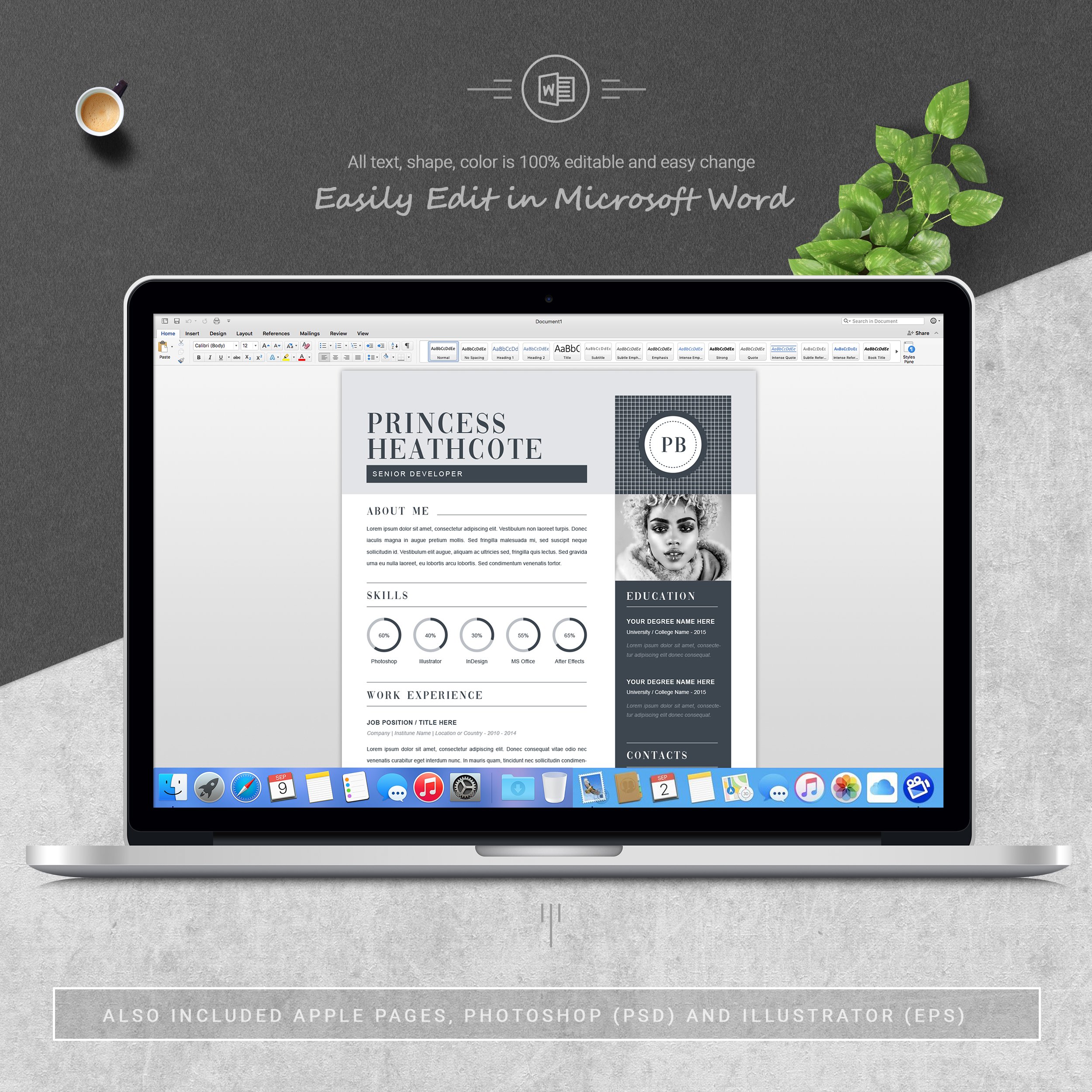 05 3 pages free resume ms word file format design template 622