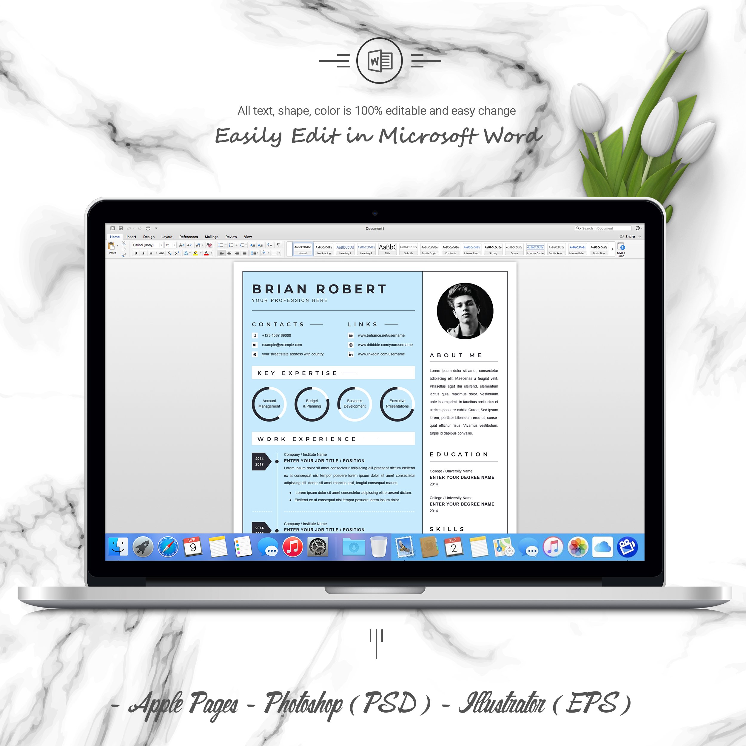 05 3 pages free resume ms word file format design template 623