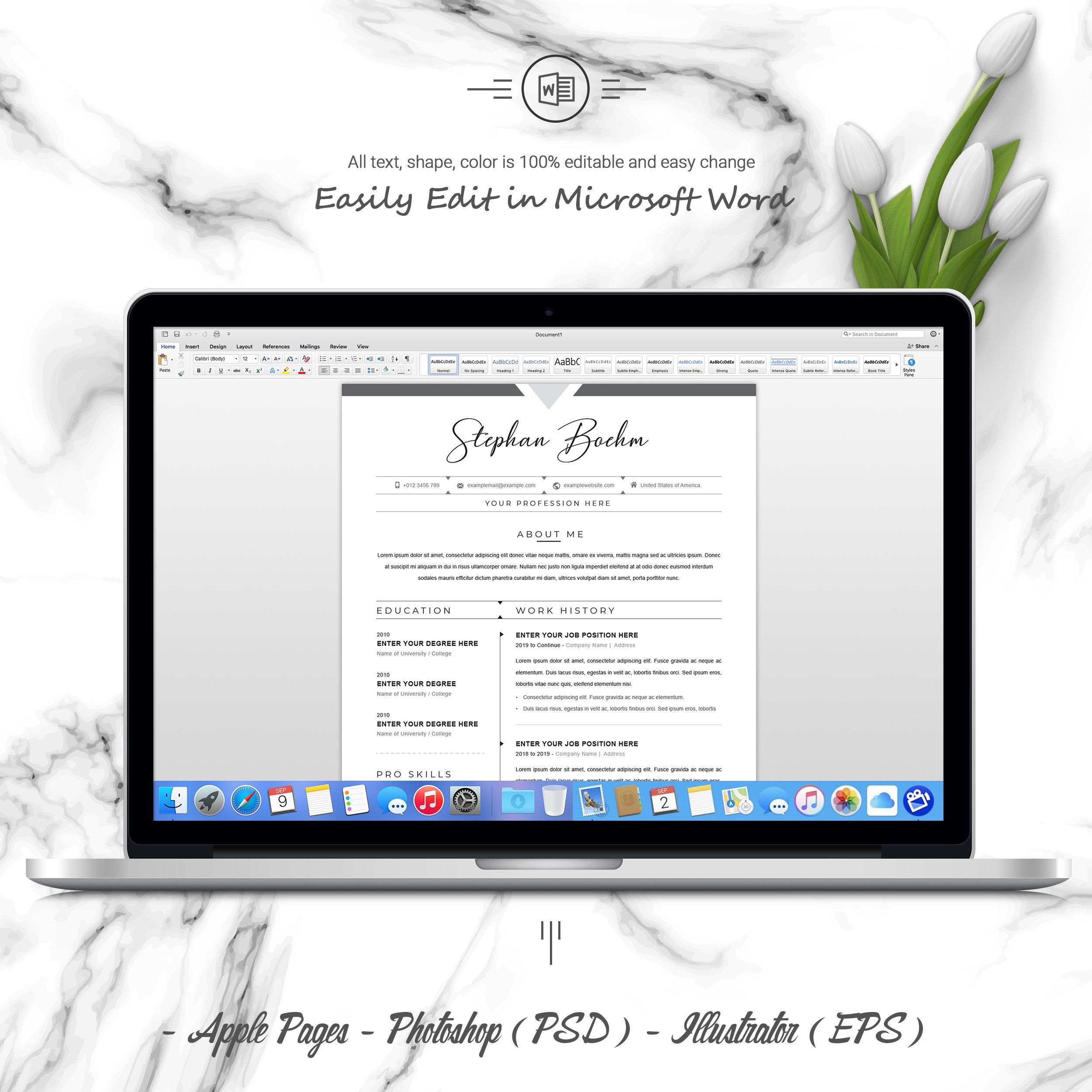 05 3 pages free resume ms word file format design template 634