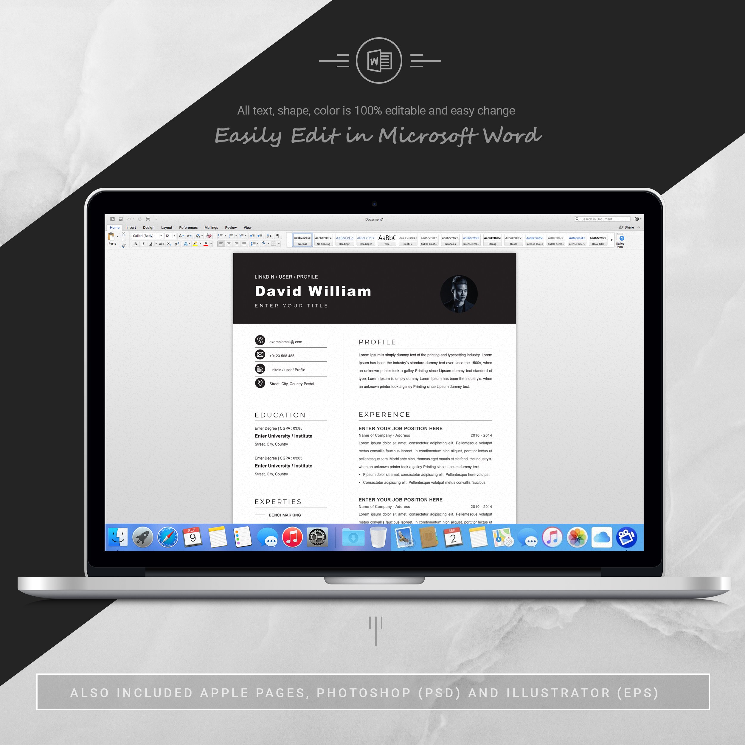 05 3 pages free resume ms word file format design template 670