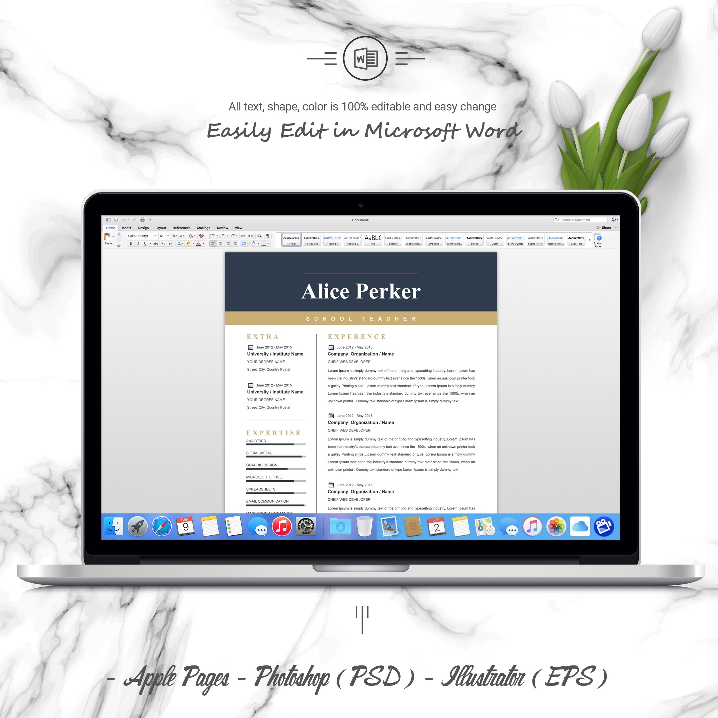 05 3 pages free resume ms word file format design template 72