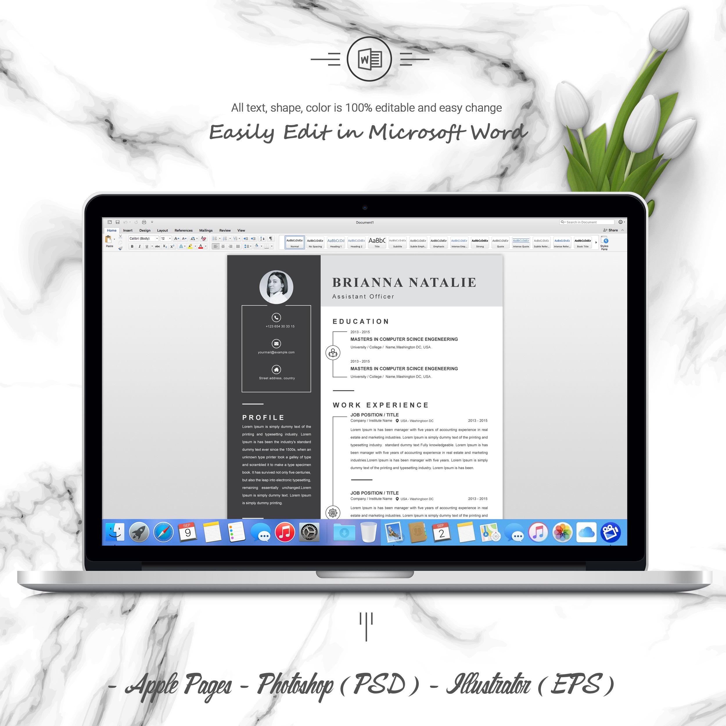 05 3 pages free resume ms word file format design template 724