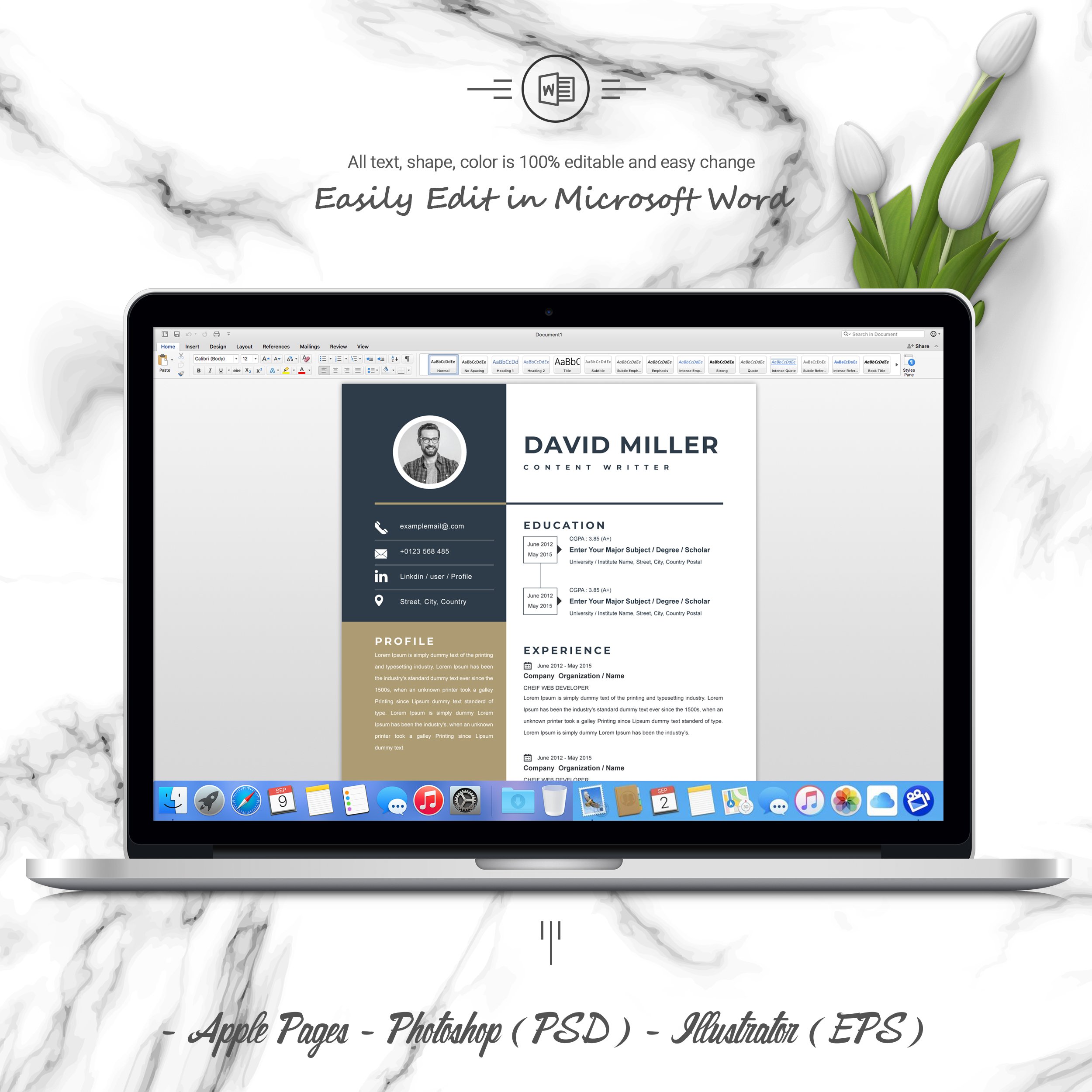 05 3 pages free resume ms word file format design template 735
