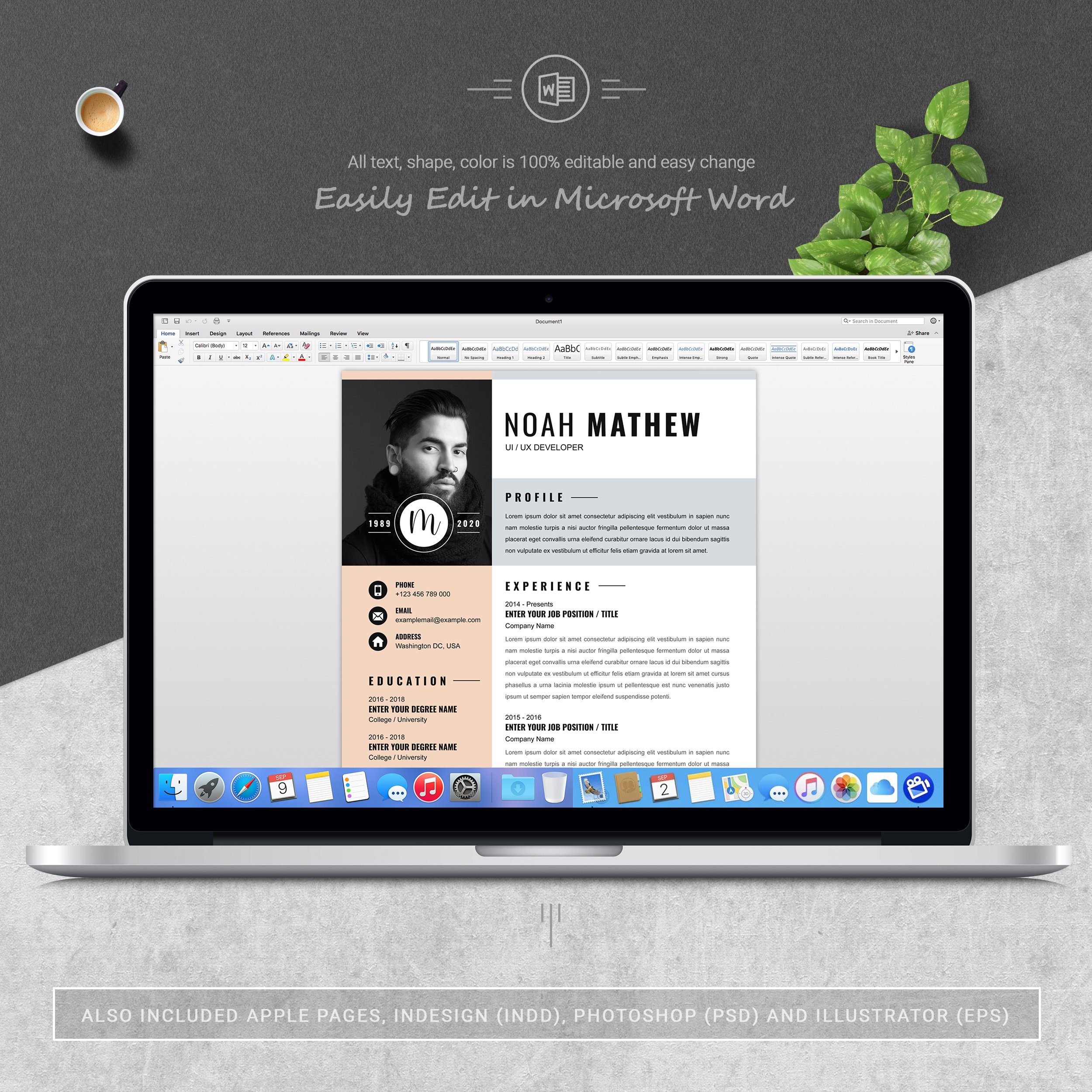 05 3 pages free resume ms word file format design template 790