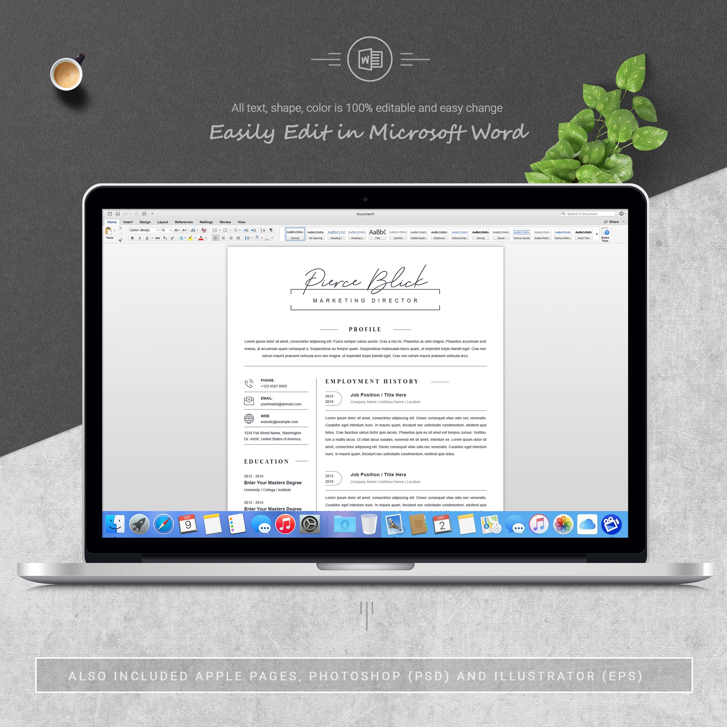 05 3 pages free resume ms word file format design template 874