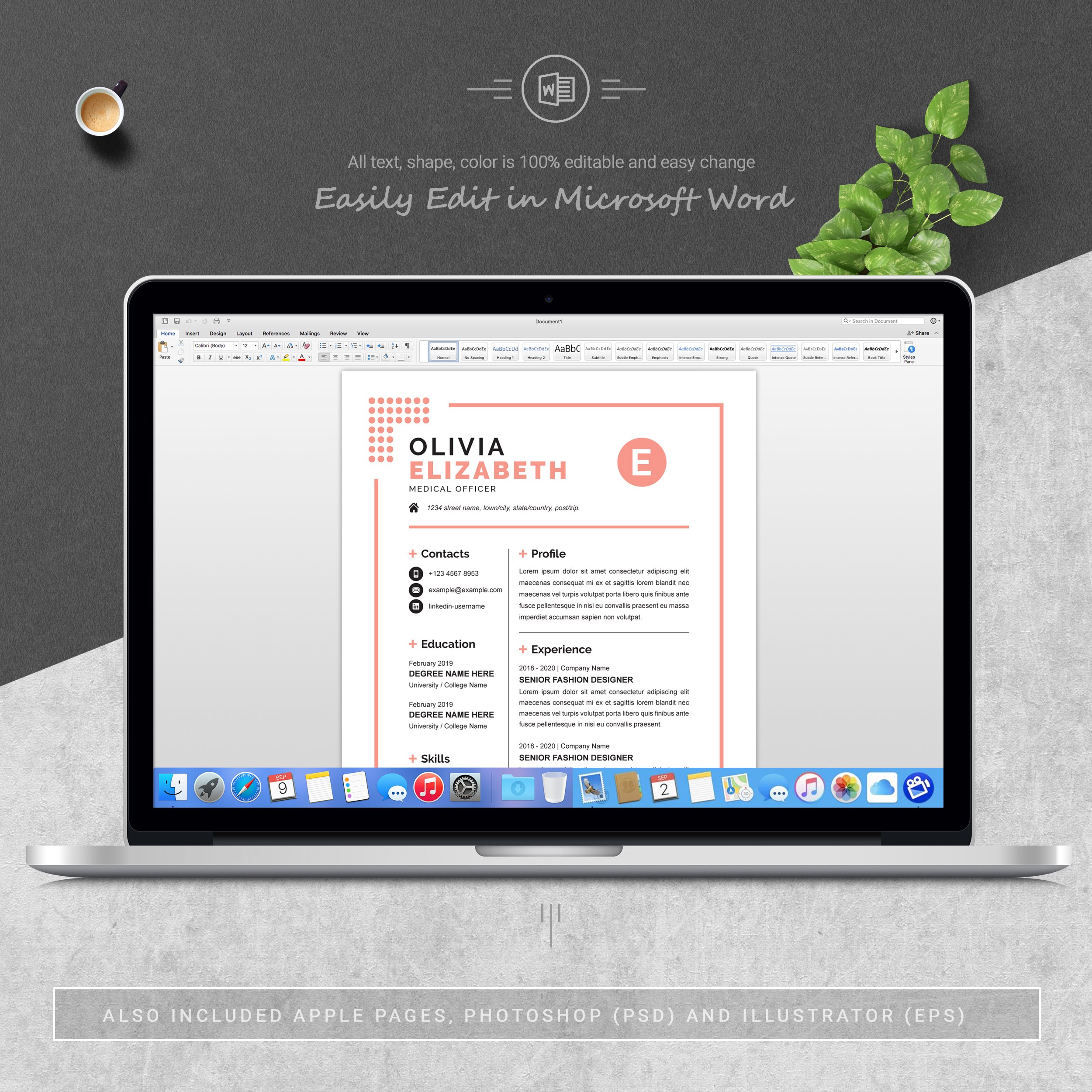 05 3 pages free resume ms word file format design template 964