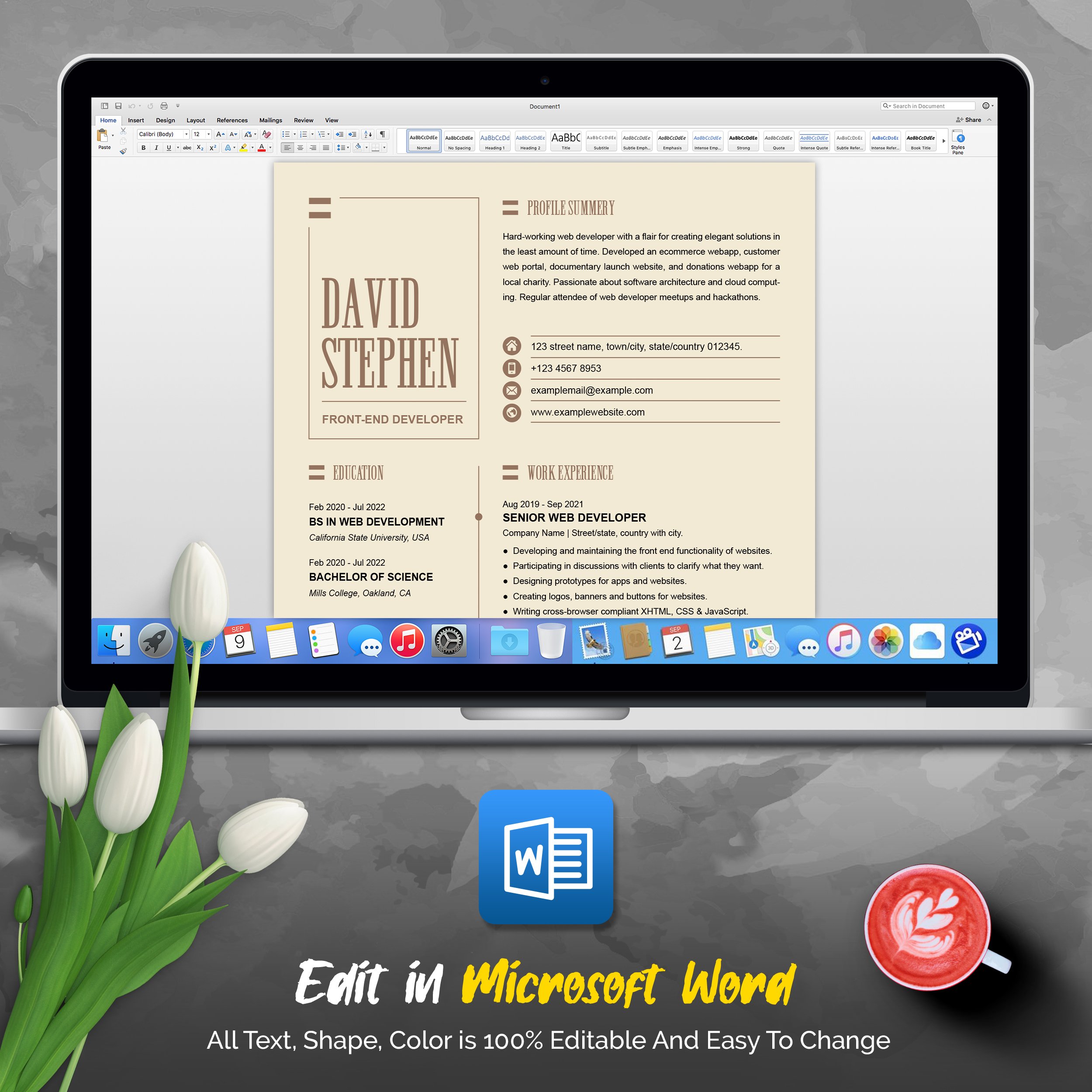 05 5 pages professional ms word aple pages eps photoshop psd resume cv design template design by resume inventor 582