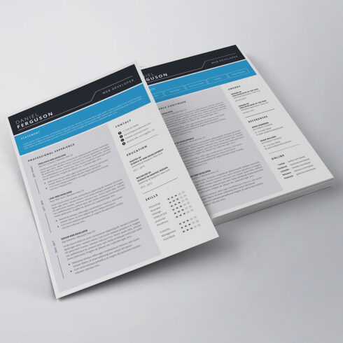 Professional Resume/CV Template - MasterBundles