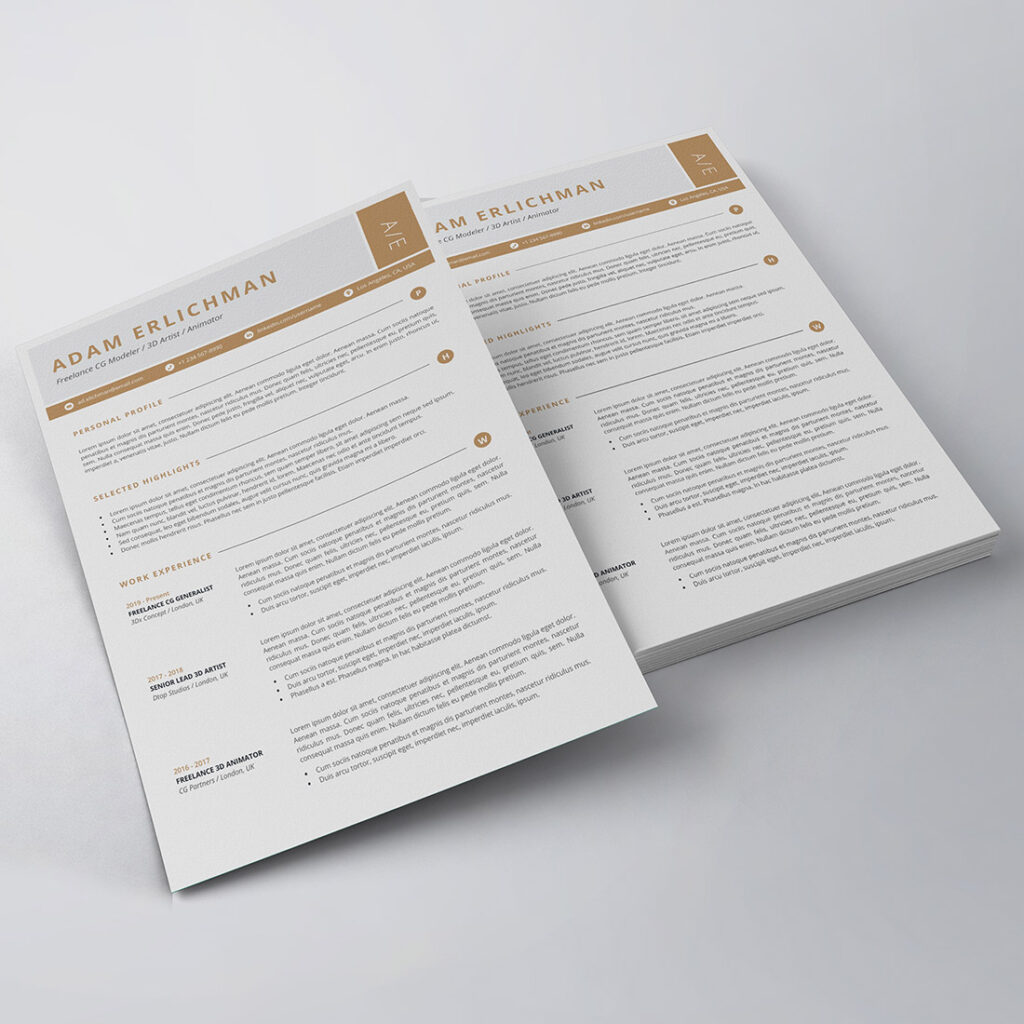 Professional Resume/CV Template - MasterBundles