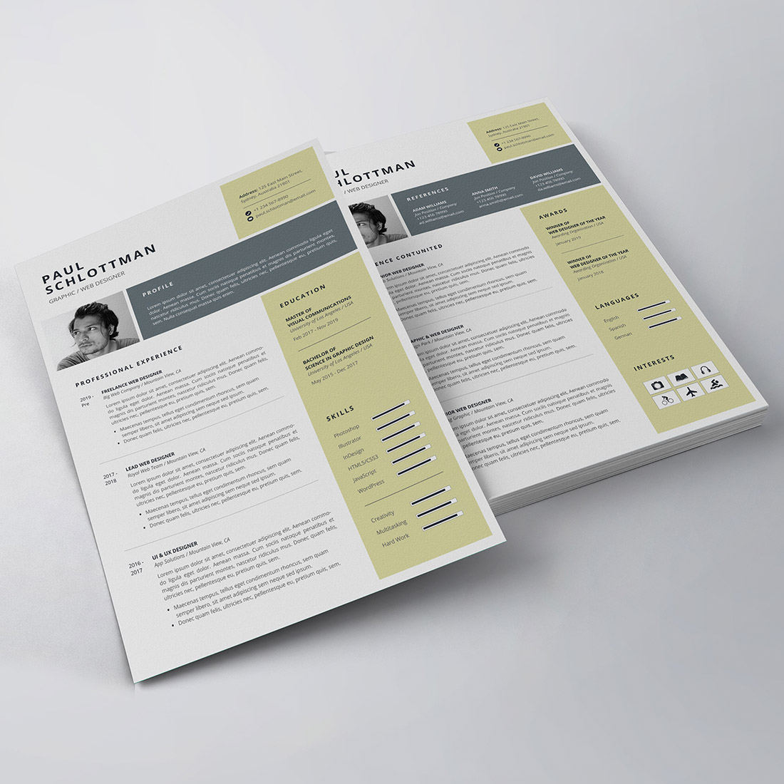 Professional Resume/CV Template preview image.