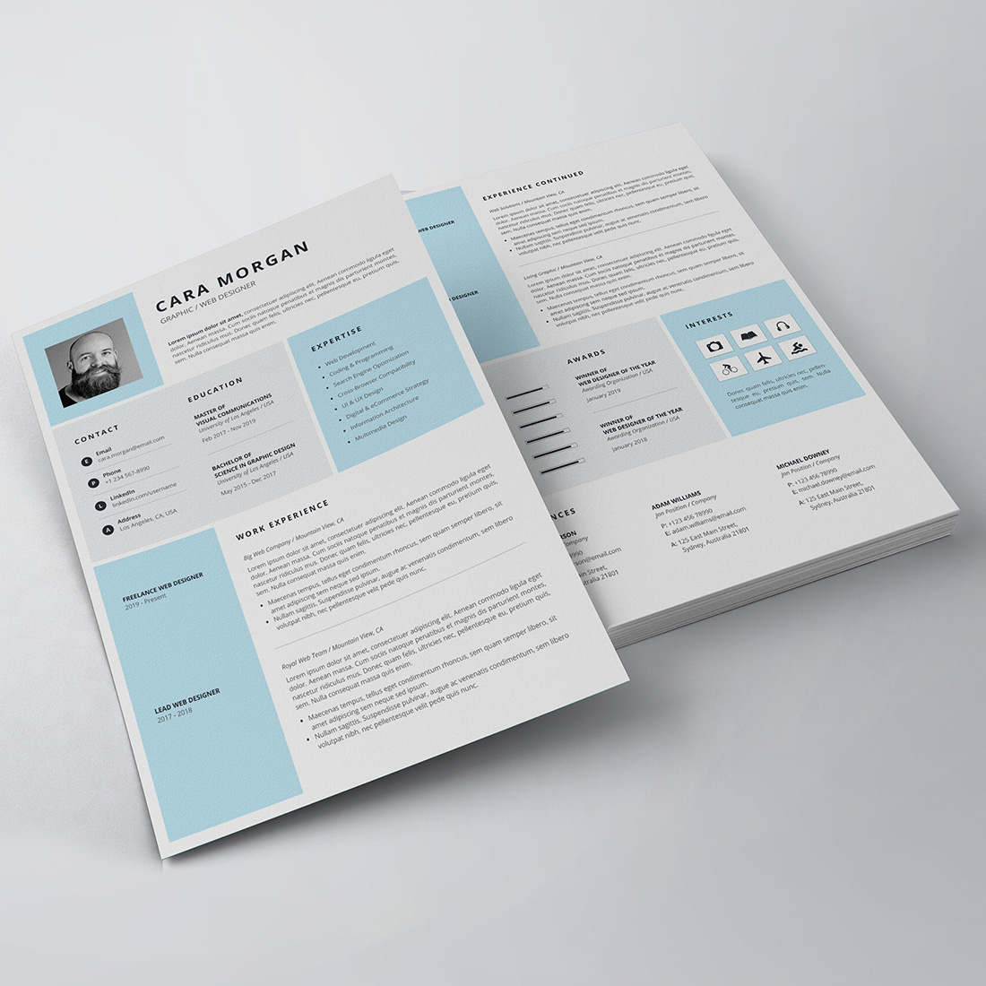 Professional Resume/CV Template preview image.
