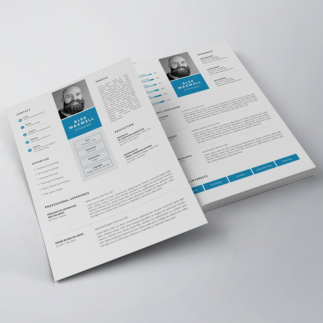 Professional Resume/CV Template preview image.