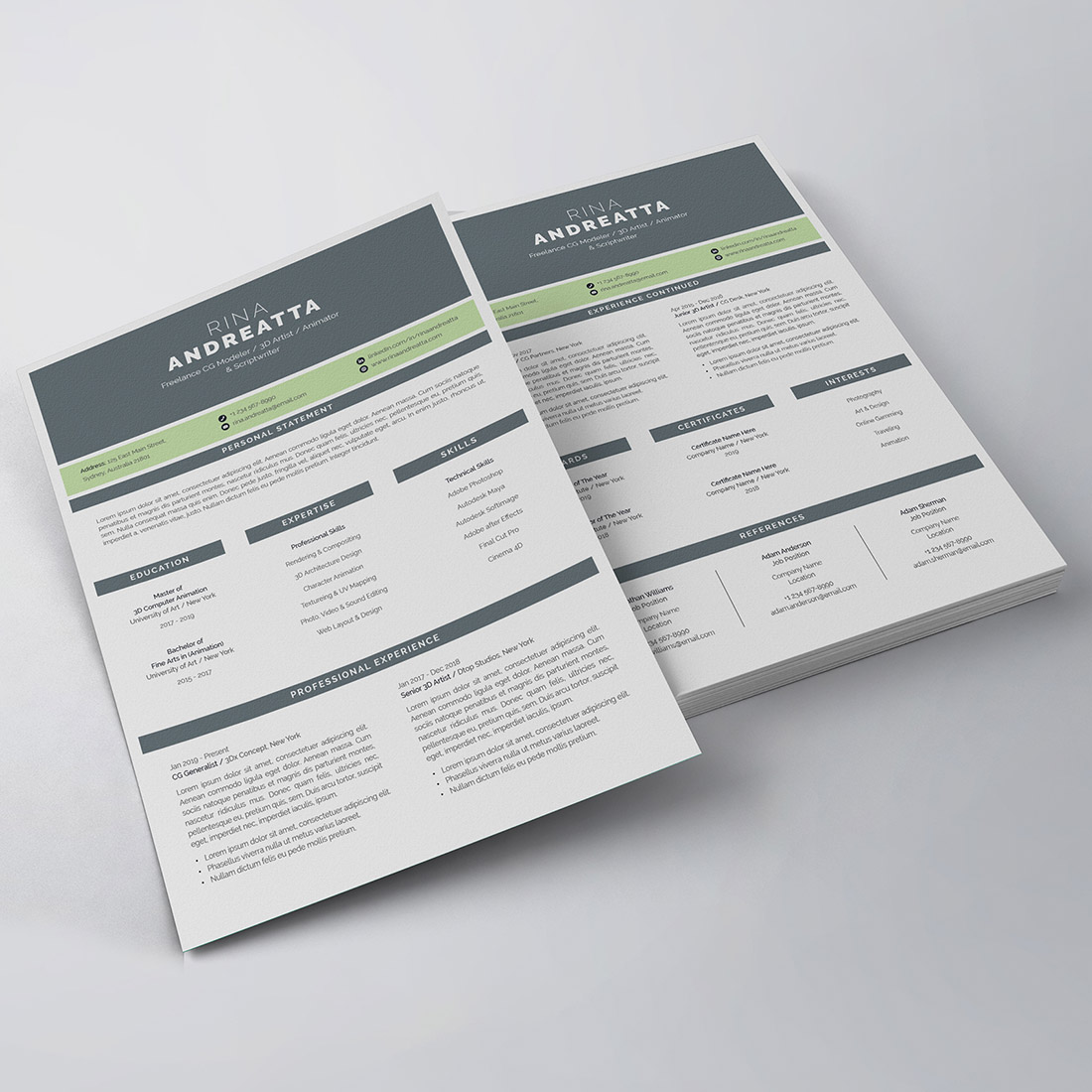 Professional Resume/CV Template preview image.