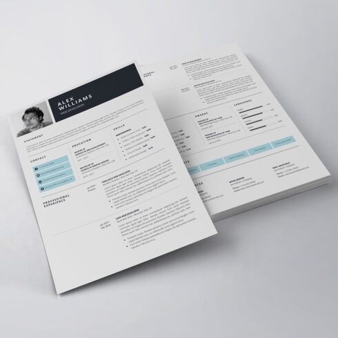 Professional Resume/CV Template - MasterBundles