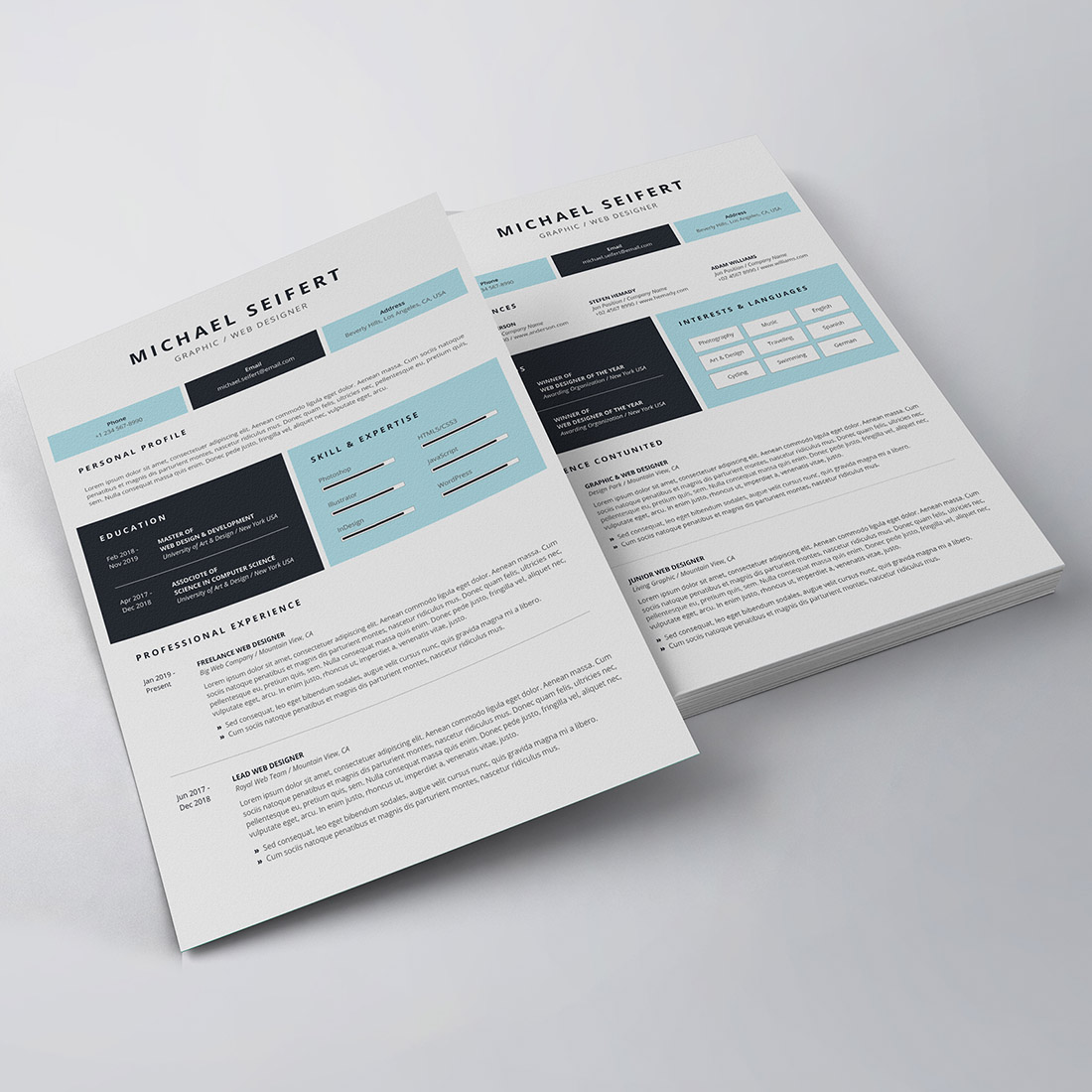 Professional Resume/CV Template preview image.