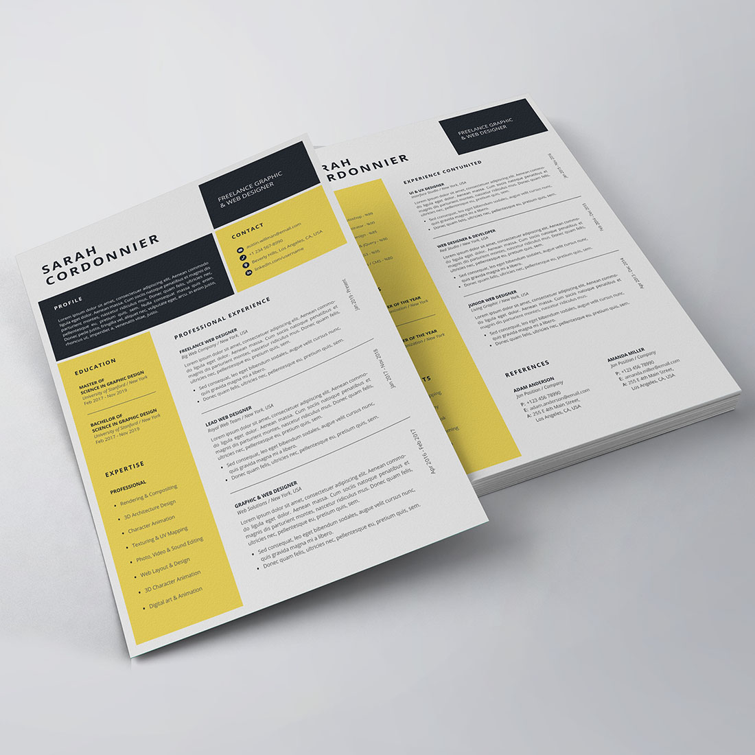 Modern Resume/CV Template preview image.