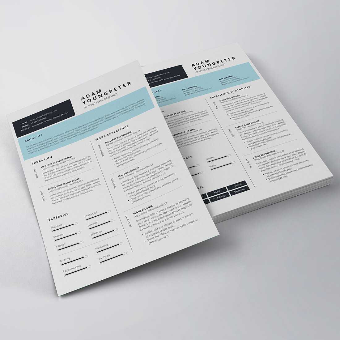 Professional Resume/CV Template preview image.