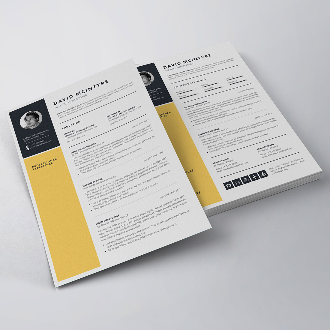 Professional Resume/CV Template preview image.