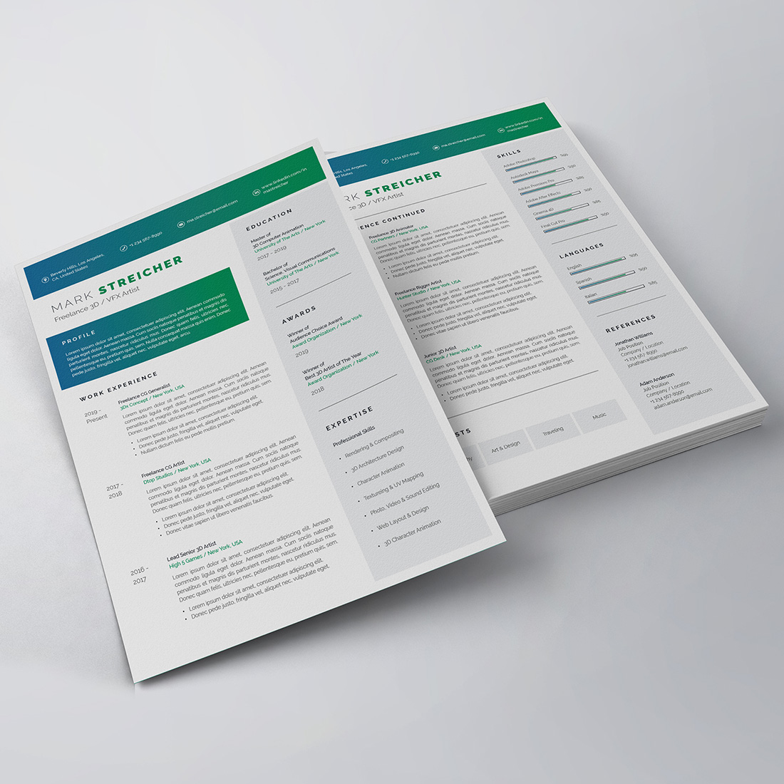 Professional Resume/CV Template preview image.