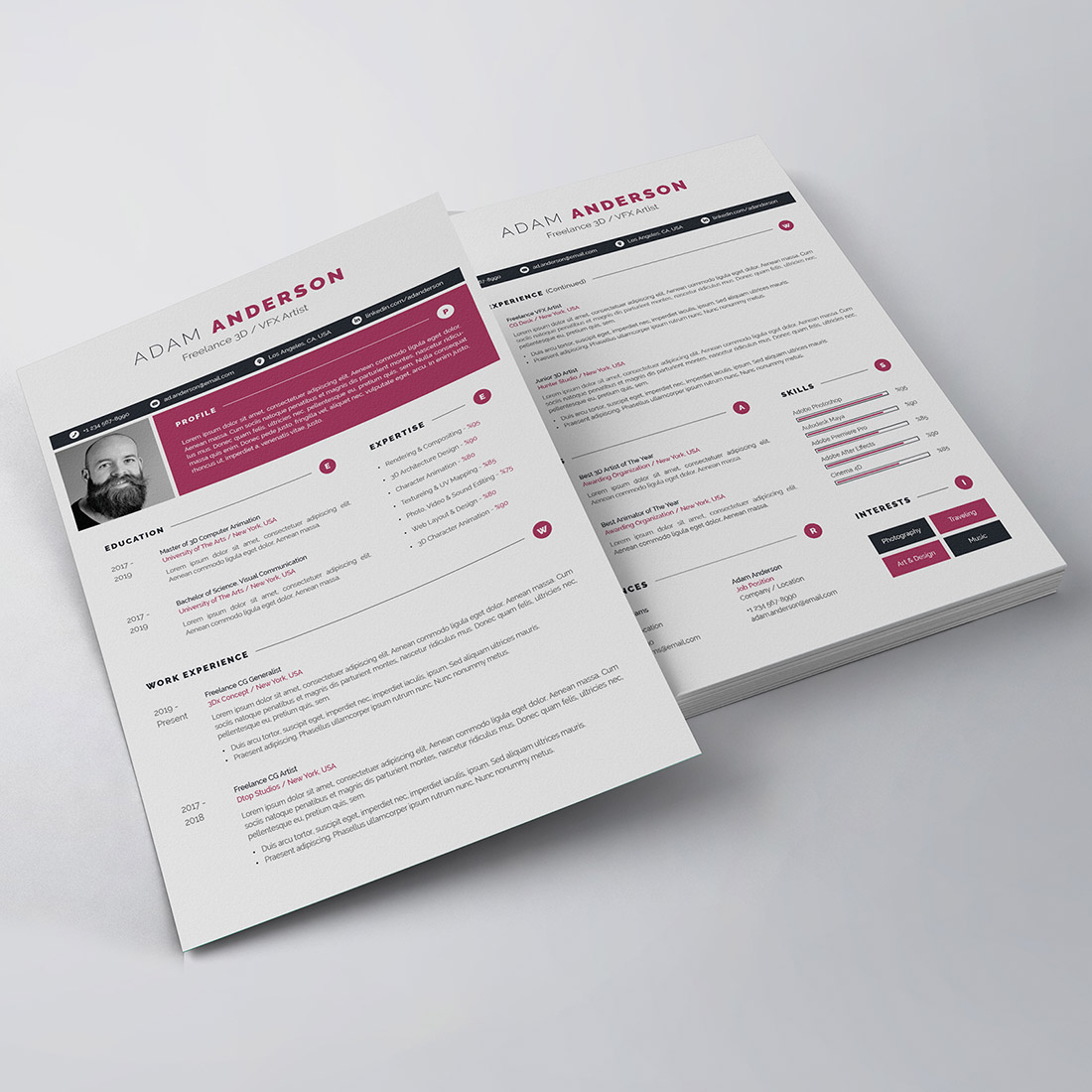 Professional Resume/CV Template preview image.