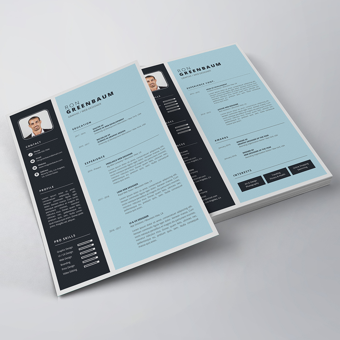 Professional Resume/CV Template preview image.