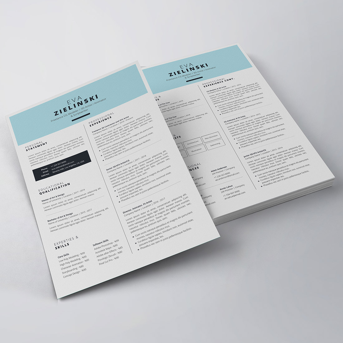 Professional Resume/CV Template preview image.