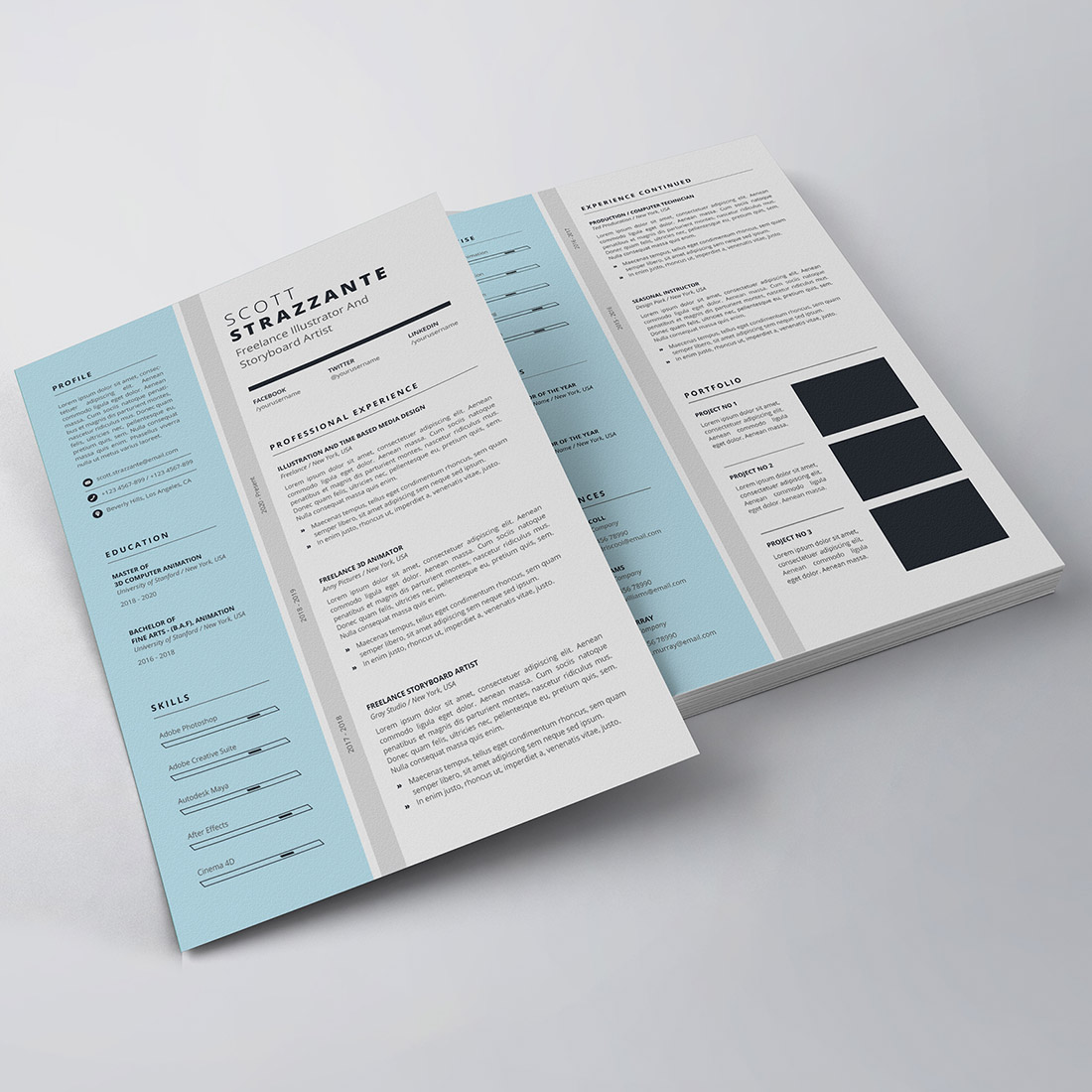 Professional Resume/CV Template preview image.