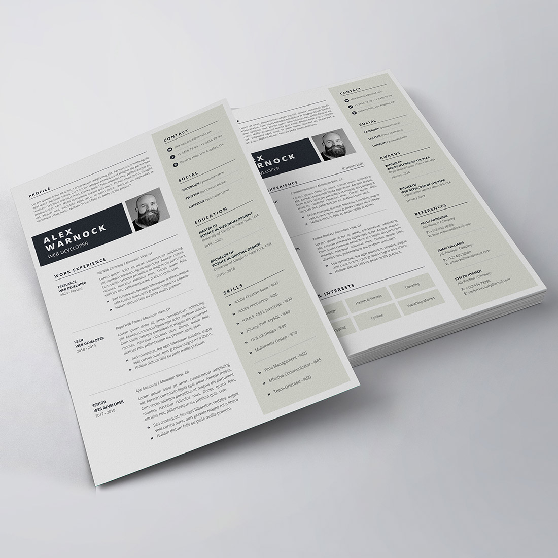 Professional Resume/CV Template preview image.
