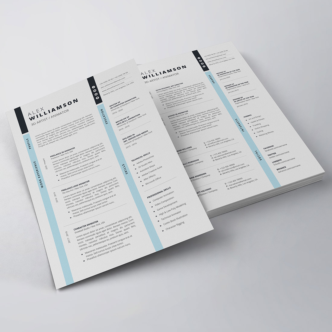 Professional Resume/CV Template preview image.