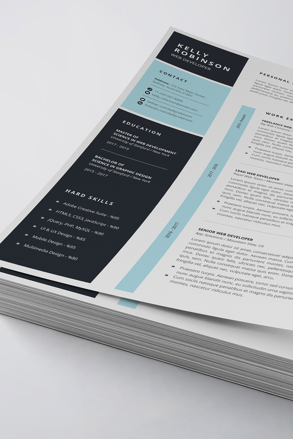 Professional Resume/CV Template pinterest preview image.