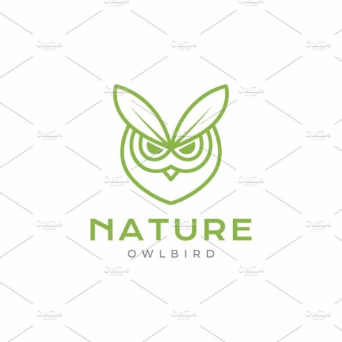 face owl with leaf logo design cover image.