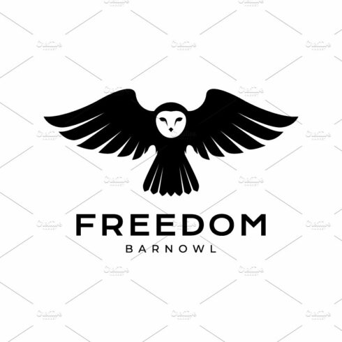 modern flying owl logo design cover image.