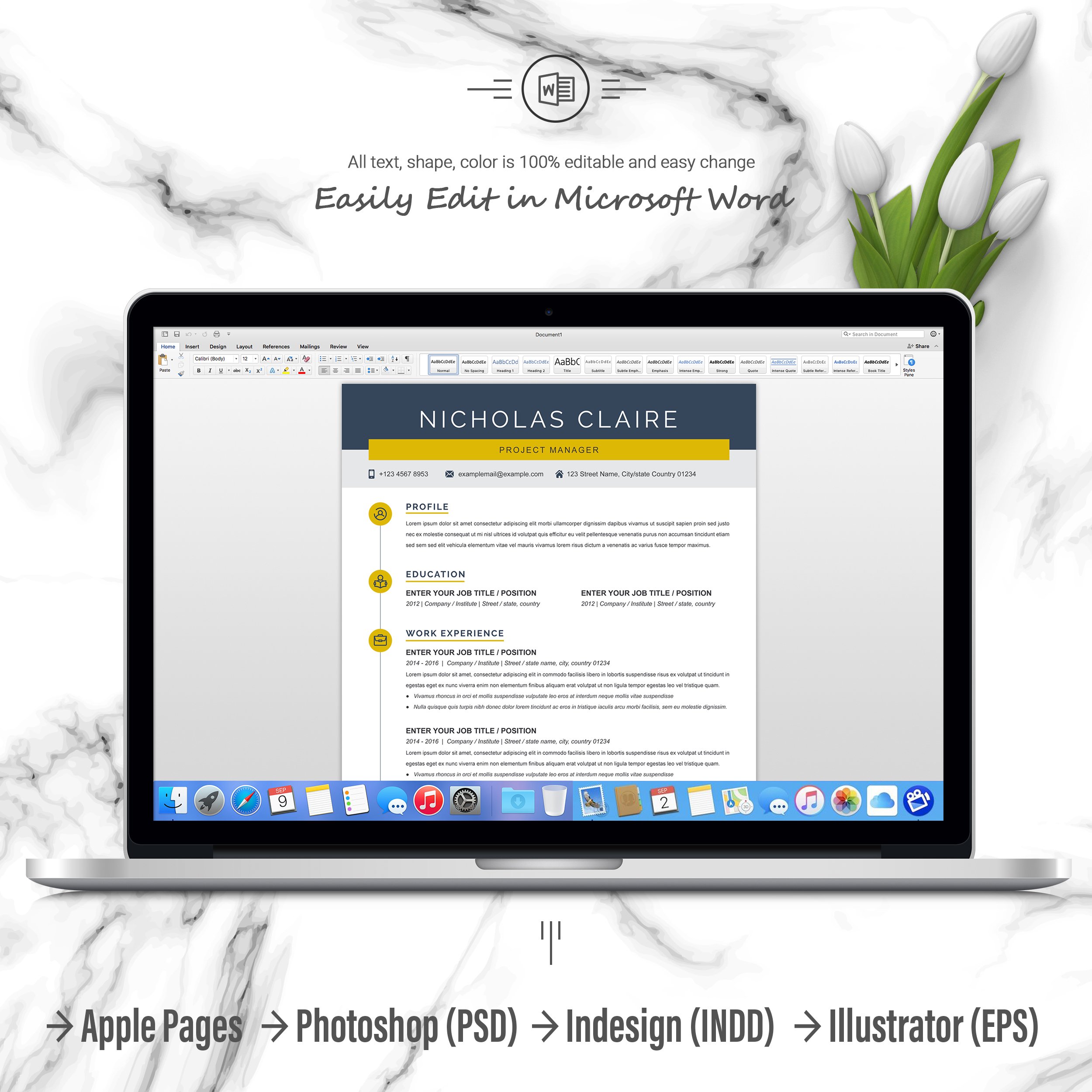 06 3 pages free resume ms word file format design template 16